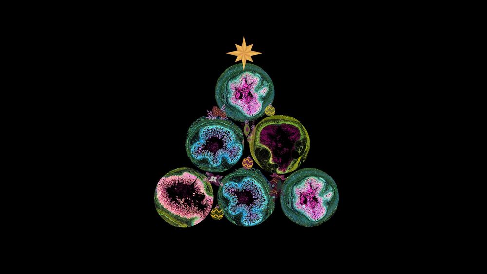 Festive image - header image