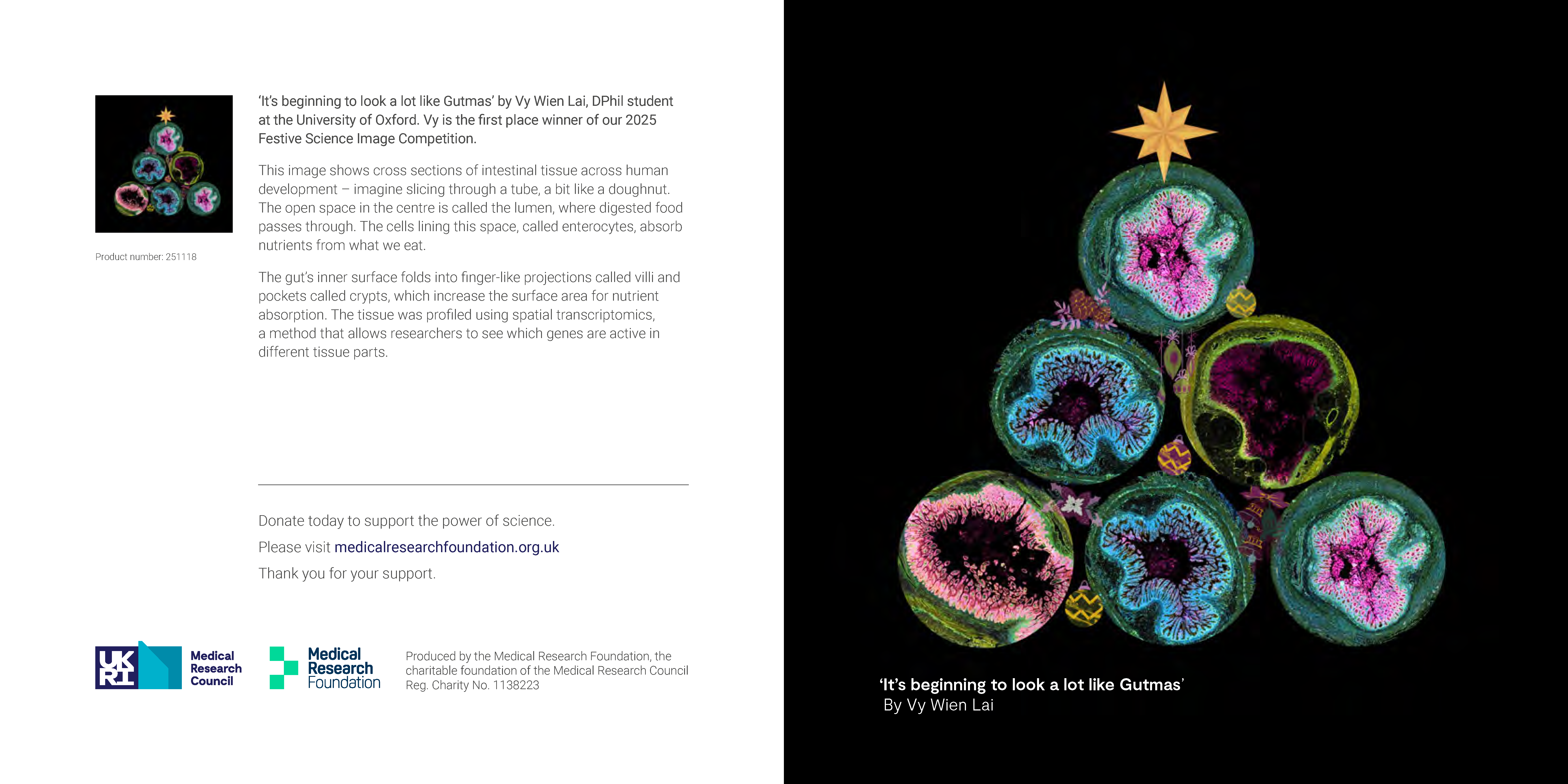The 'It's beginning to look a lot like Gutmas' MRC/Medical Research Foundation card design.