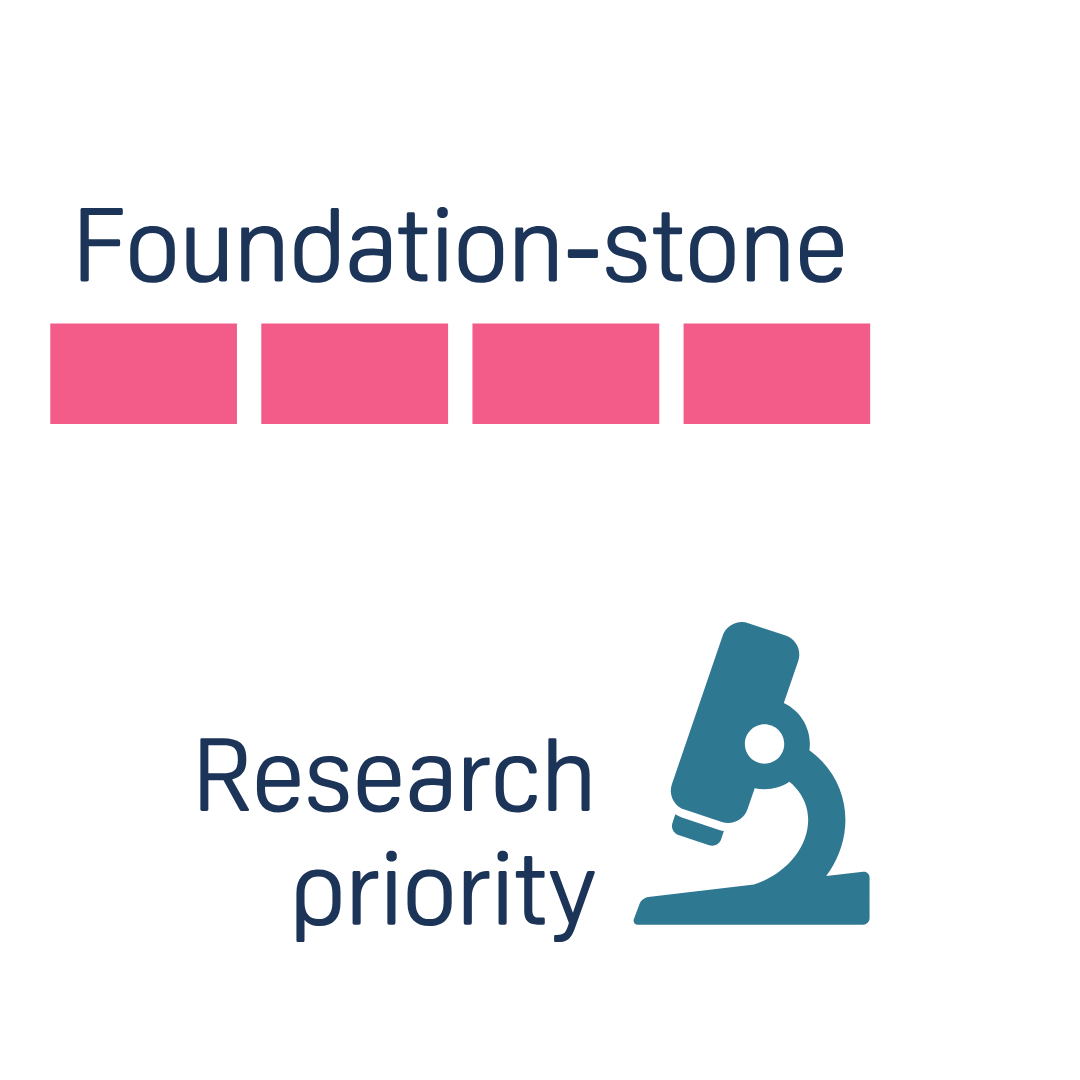 Foundation-stone graphic next to the research priority graphic