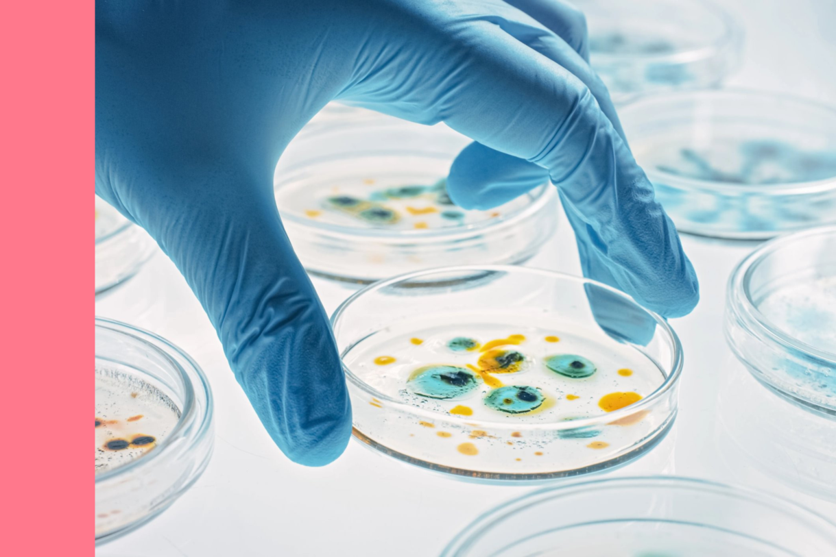 Gloved hand with petri dish