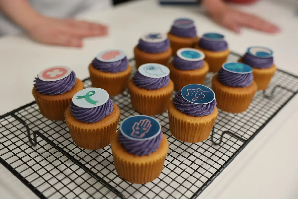 Research Bakers cupcakes topped with purple icing cooling down on a wire rack