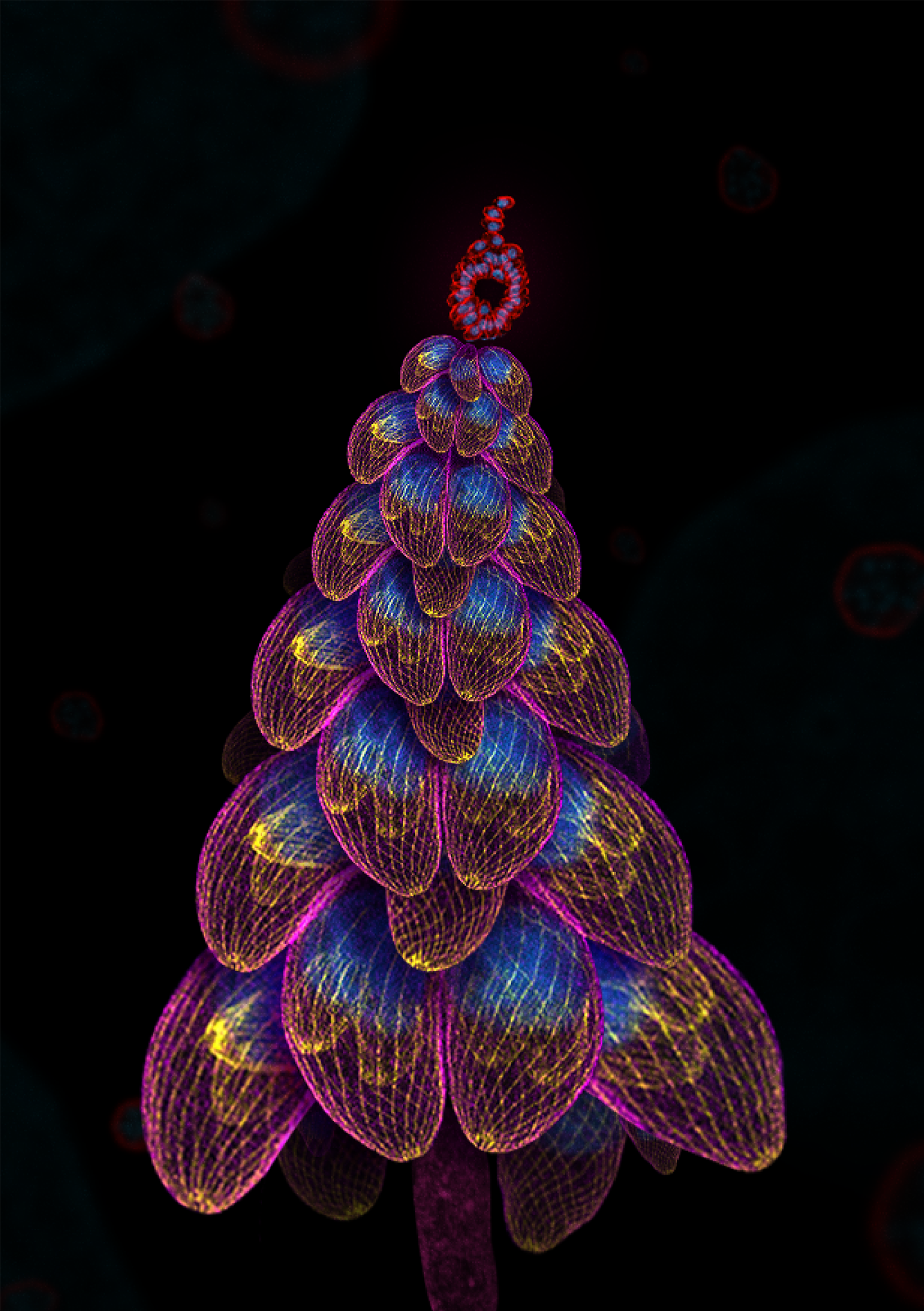 Dr Kseniia Bondarenko O Come All Ye Pathogens Illuminating the Unseen to Fight the Incurable