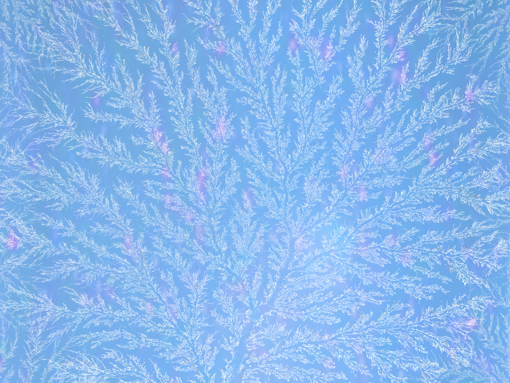 Nathalie Lovgren and Iain Tullis Frosty Winter Mornings