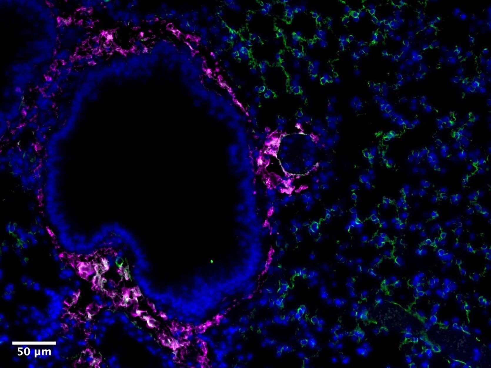 Tara Sutherland Research Pic