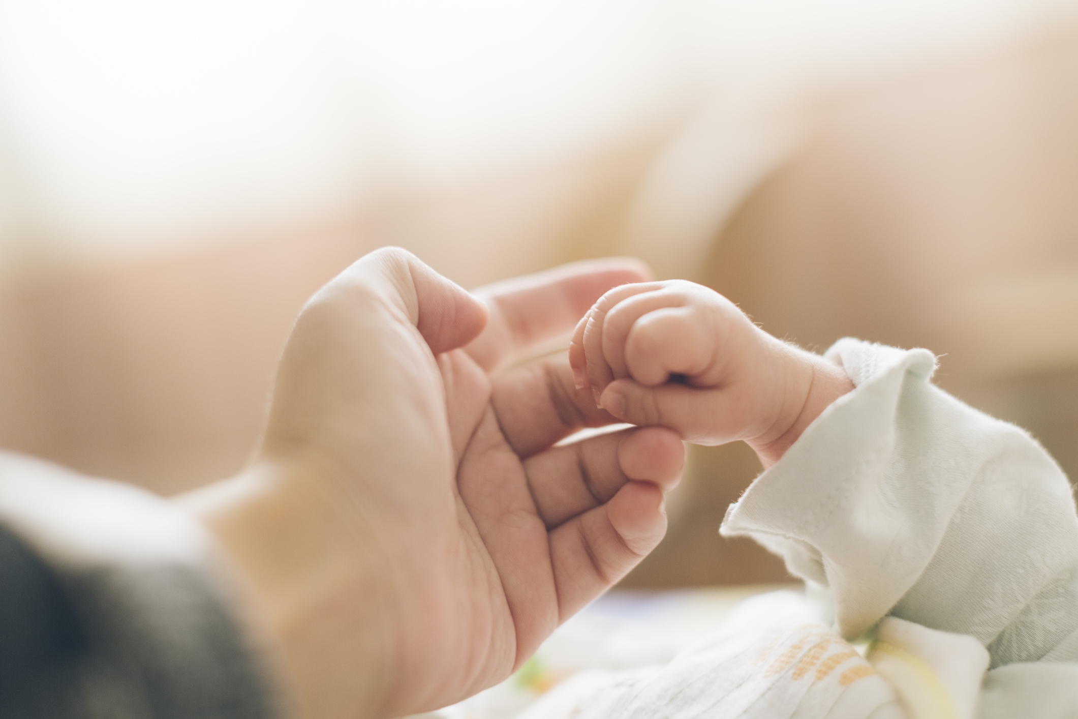 Parent holding baby's hand
